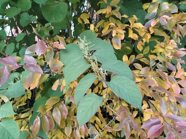    Фото: Екатерина Иванова