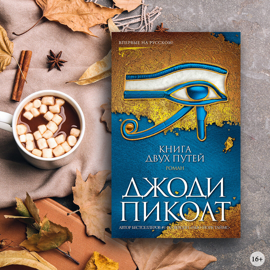 Путеводитель по книгам Джоди Пиколт | Азбука-Аттикус | Дзен