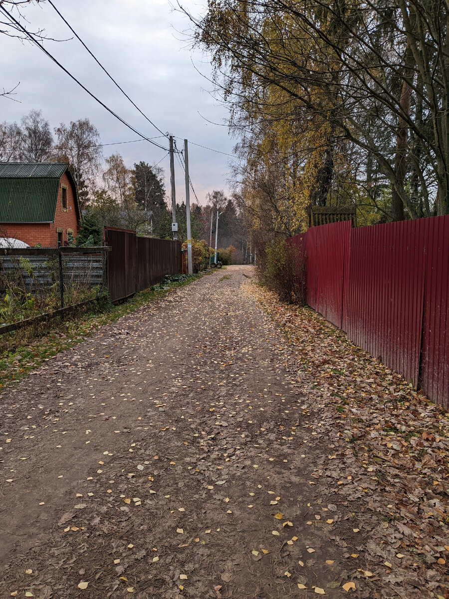 Грунтовая дорога