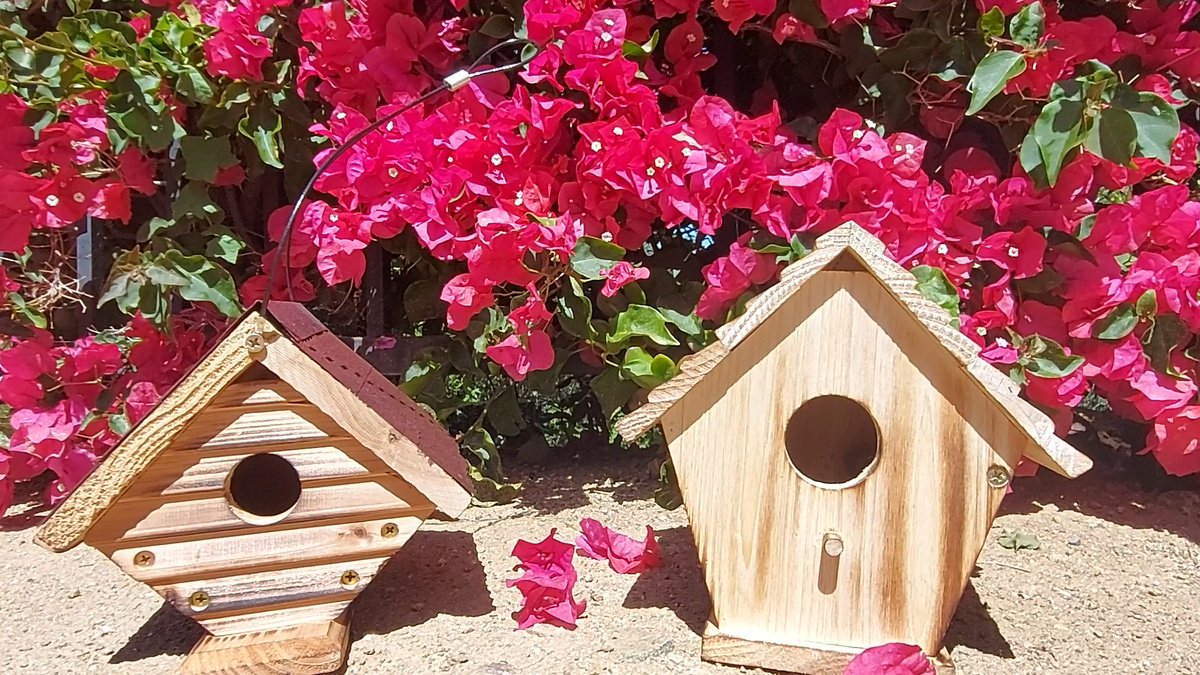 Фото из личного архива автора