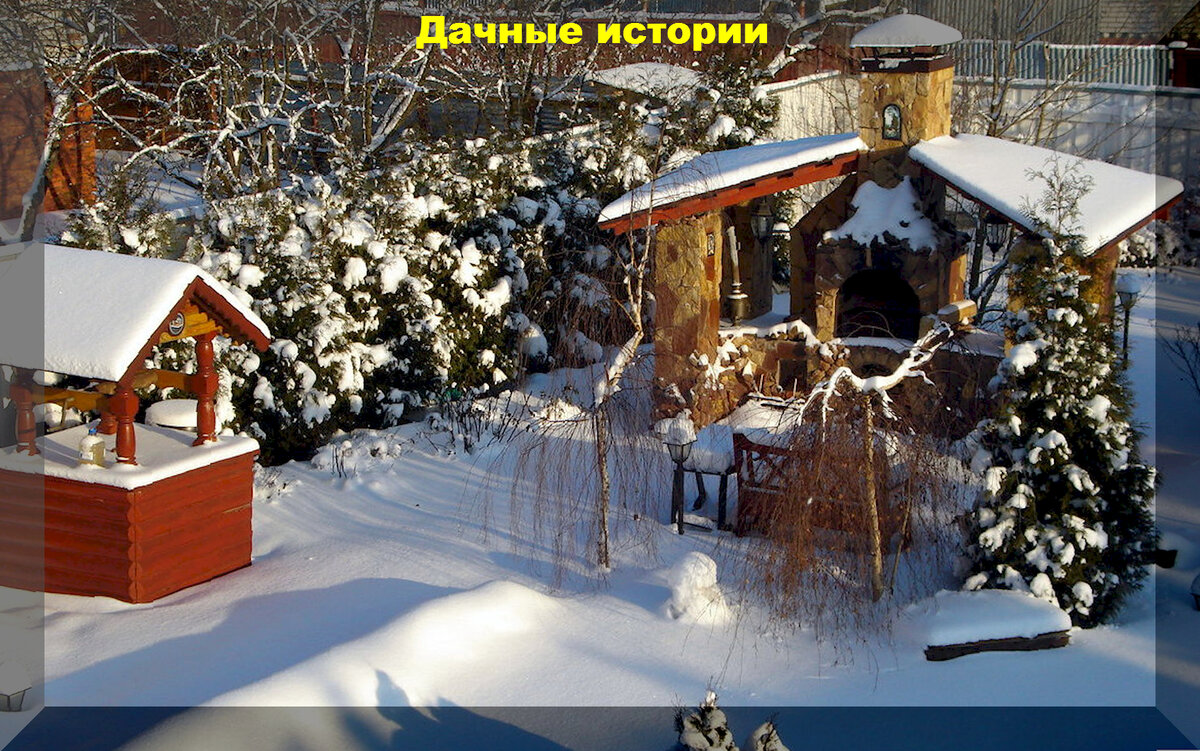 https://vk.com/photo-159774511_457257062