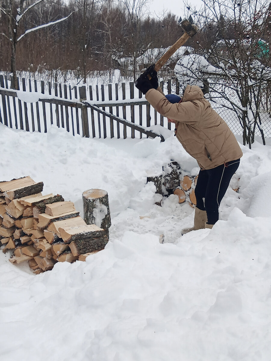 зима - правильное время для подготовки дров