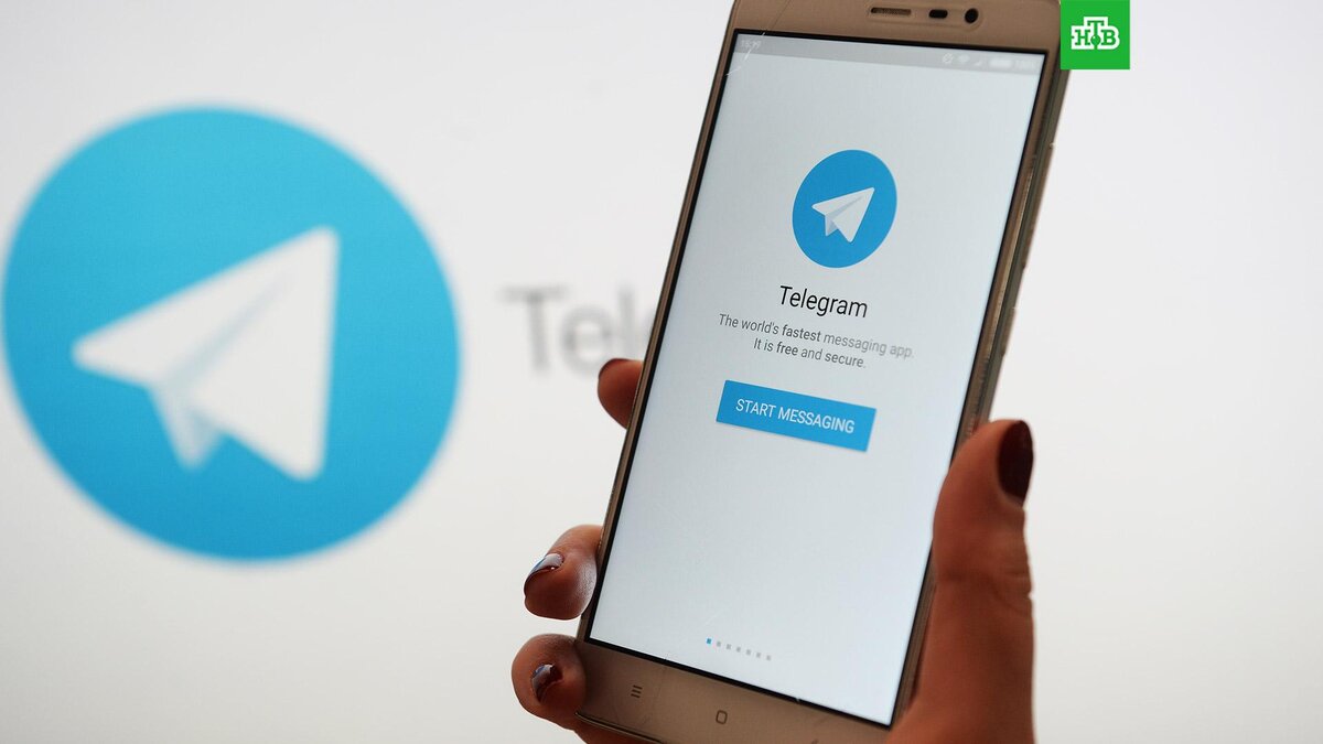    Фото: РИА Новости © 2022, Кирилл Каллиников