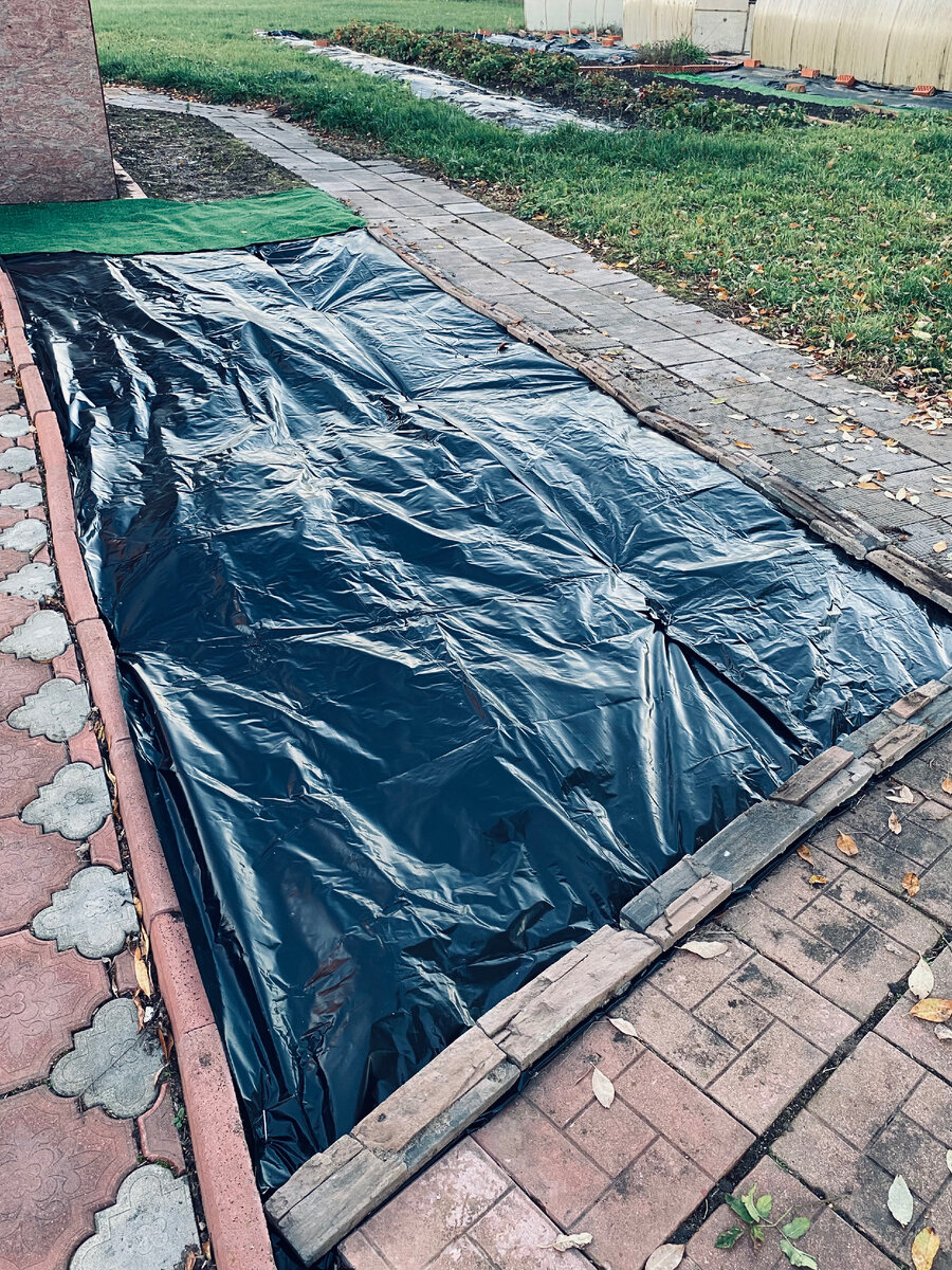 Года через два здесь должно быть красиво! Фото автора.