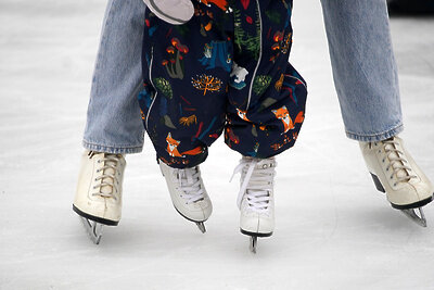    Коньки ©Е. Самарина Сайт мэра Москвы