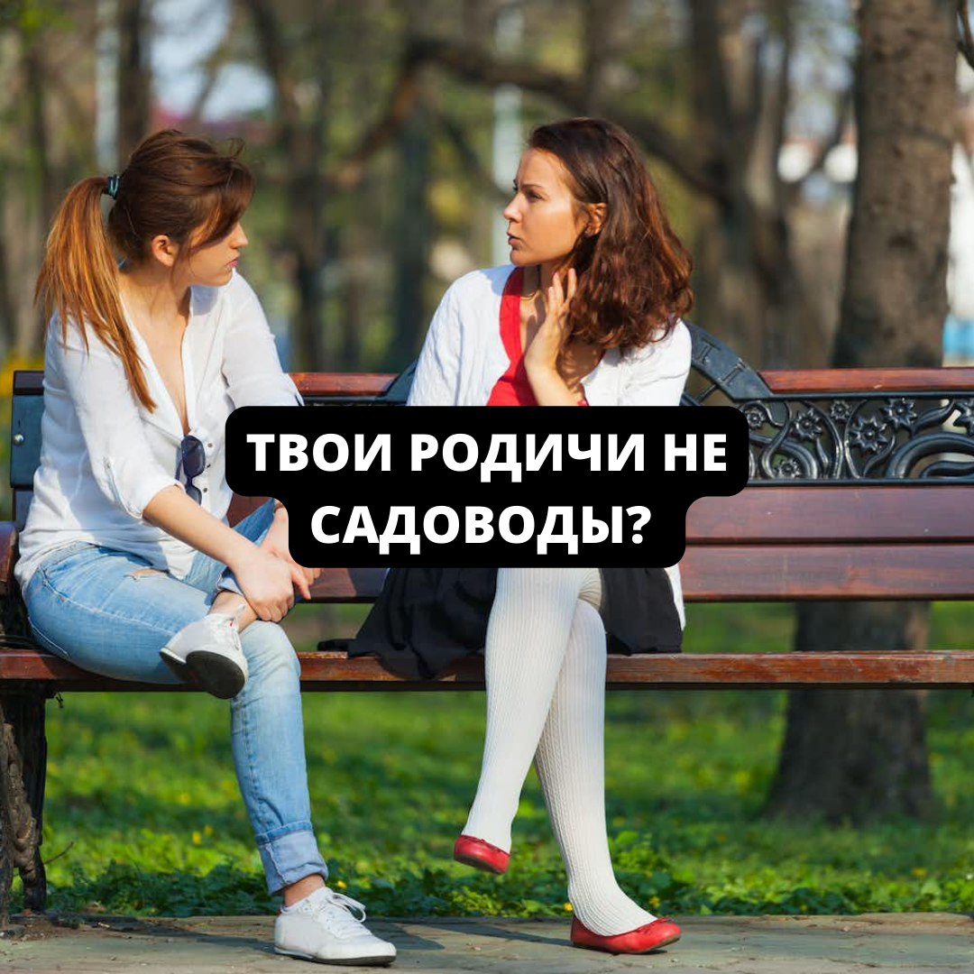 Фото взято из открытых источников интернет