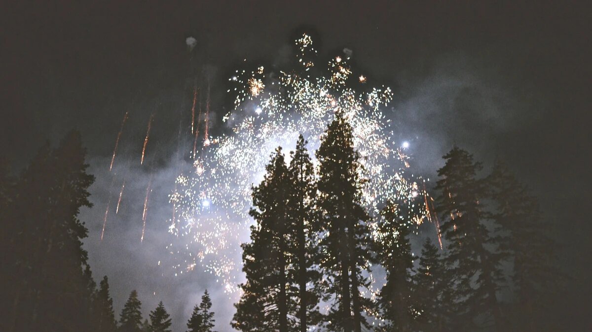 Фото: pxhere.com