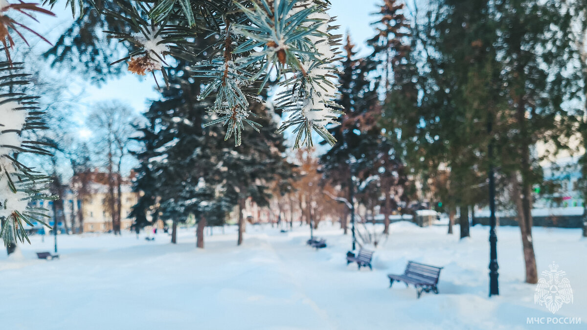 зима потепление пермь. почему в перми холодно.
