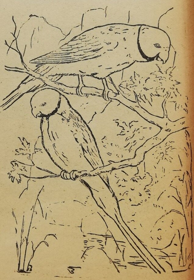 Тип лицензии - общественное достояние 