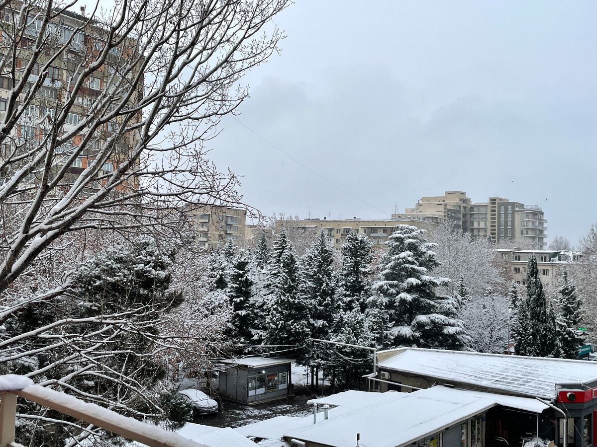 Снег в Тбилиси. 9 января 2023 г.