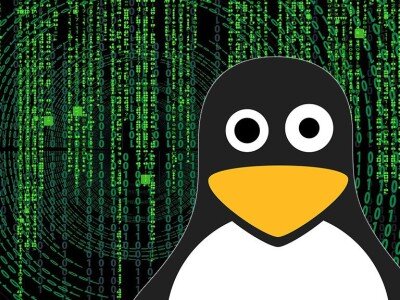    Количество вирусов для Linux выросло на 50% за год