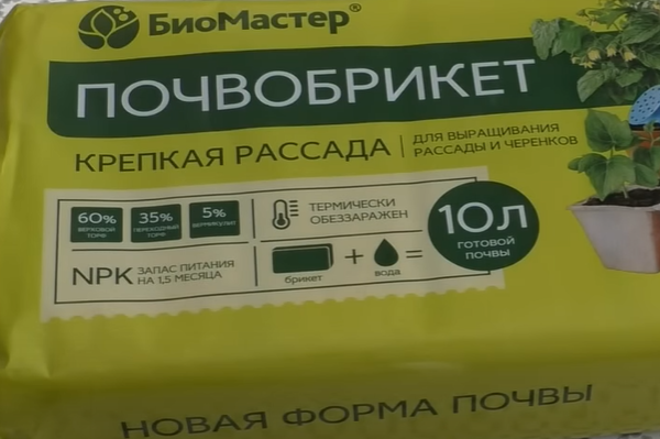 Понравился почвобрикет для выращивания рассады и черенков. Фото автора