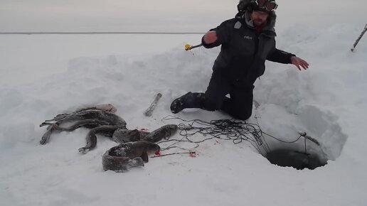 Это не диалоги о рыбалке видео