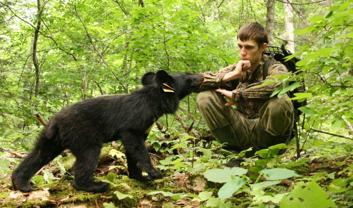 эколог в заповеднике. люди в заповеднике. работники заповедника. научная работа в заповедниках. кто работает в заповедниках.