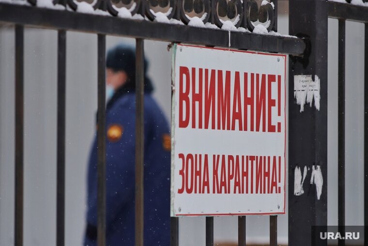    В 2022 году карантин по бешенству вводили 15 раз, в 2023-м таких случаев пока не было