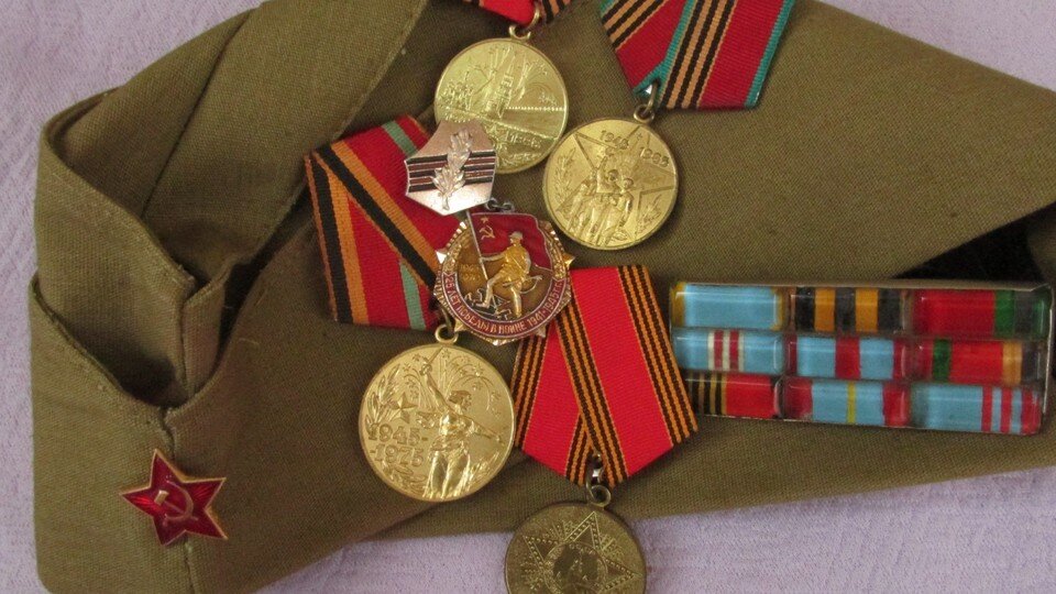     Фото Елены Федяшевой  из архива «КП»