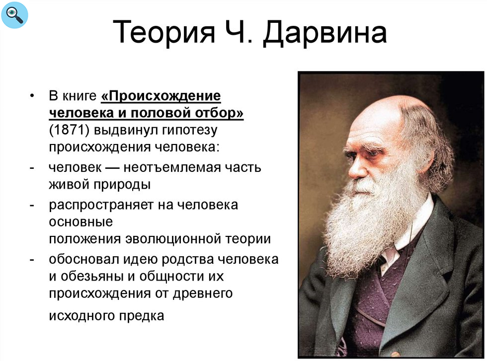 Какая теория. Эволюционное учение Чарльза Дарвина. Эволюционная теория Чарльза Дарвина. Ч Дарвин теория эволюции. Дарвин Чарльз теория происхождения