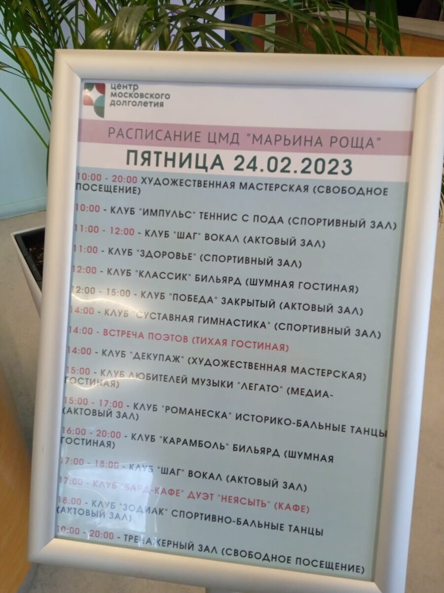 Фото наших авторов. 