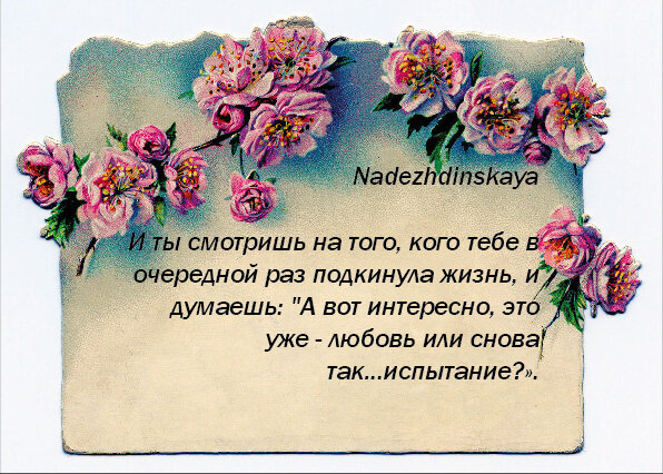 Текст и коллаж автора