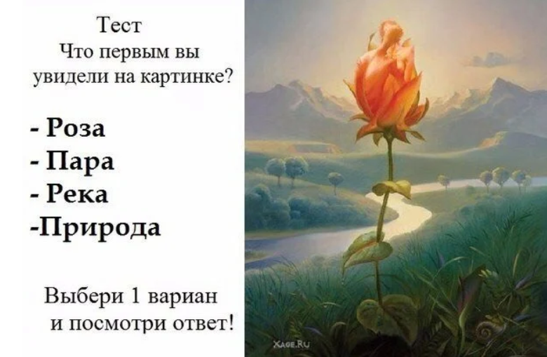 Вижу ответа. Что вы увидели первым на картинке. Тест что первым увидели на картинке. Тест первое что вы увидите на картинке. Психологический тест по картине.