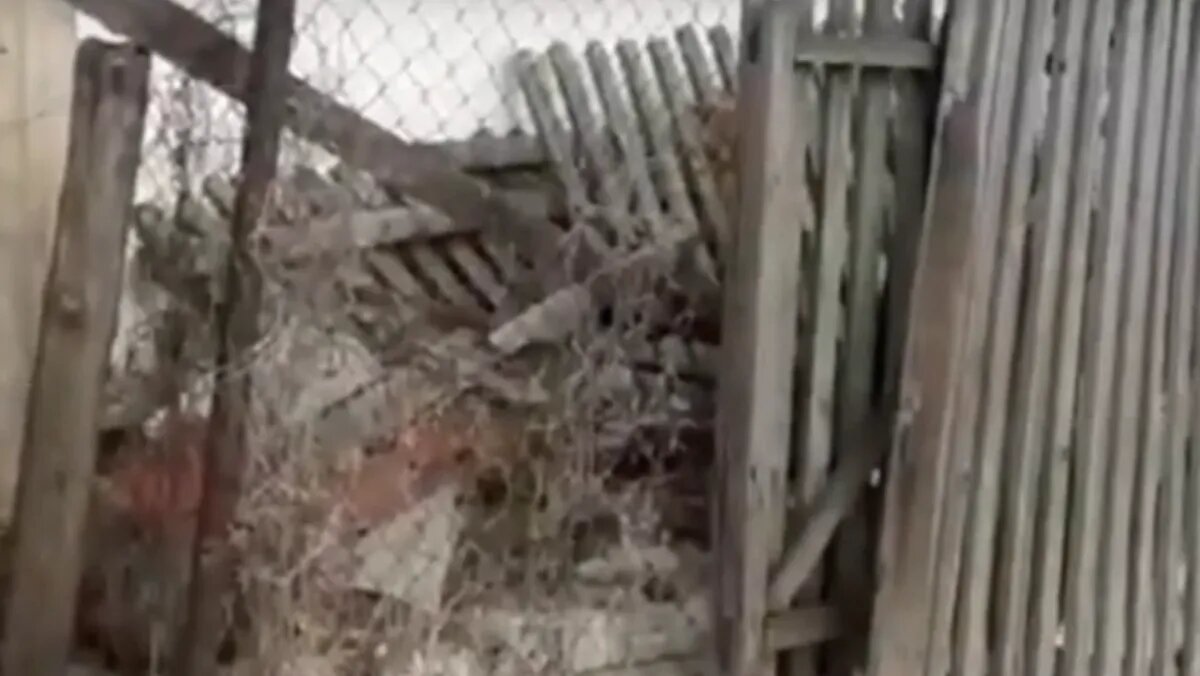 Фото: стоп-кадр с видео «Народный фронт»