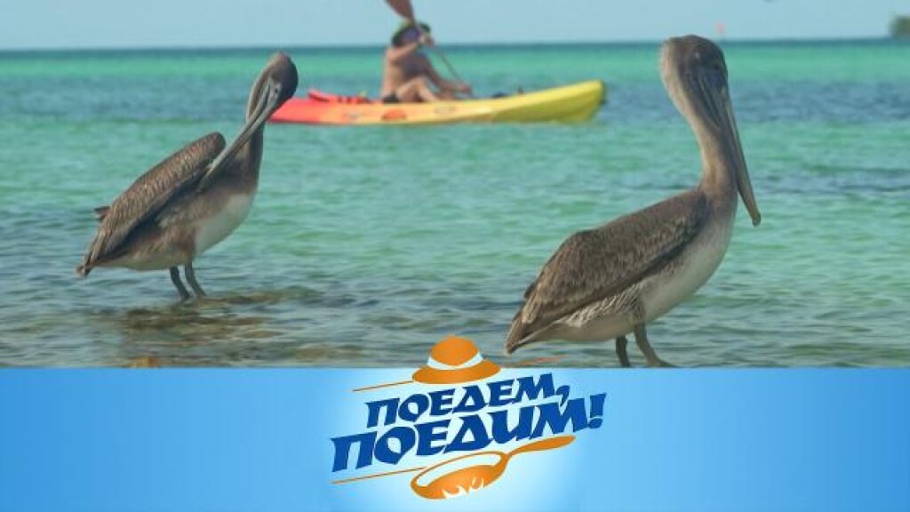    Куба: остров вдоль и поперек, дорога посреди моря, заплыв под водопадом и закуска из сырой рыбы