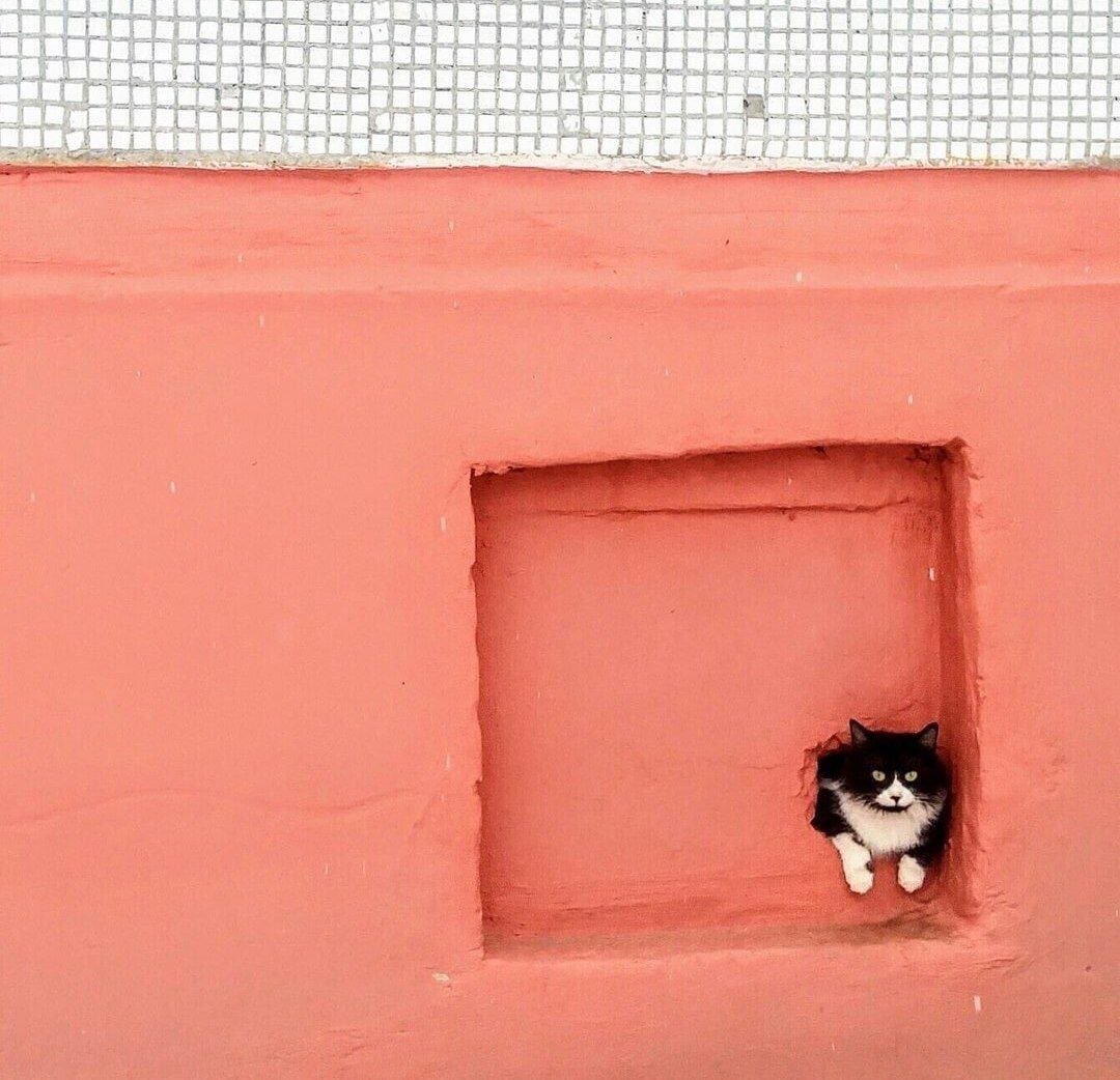 фото из открытых источников интернет