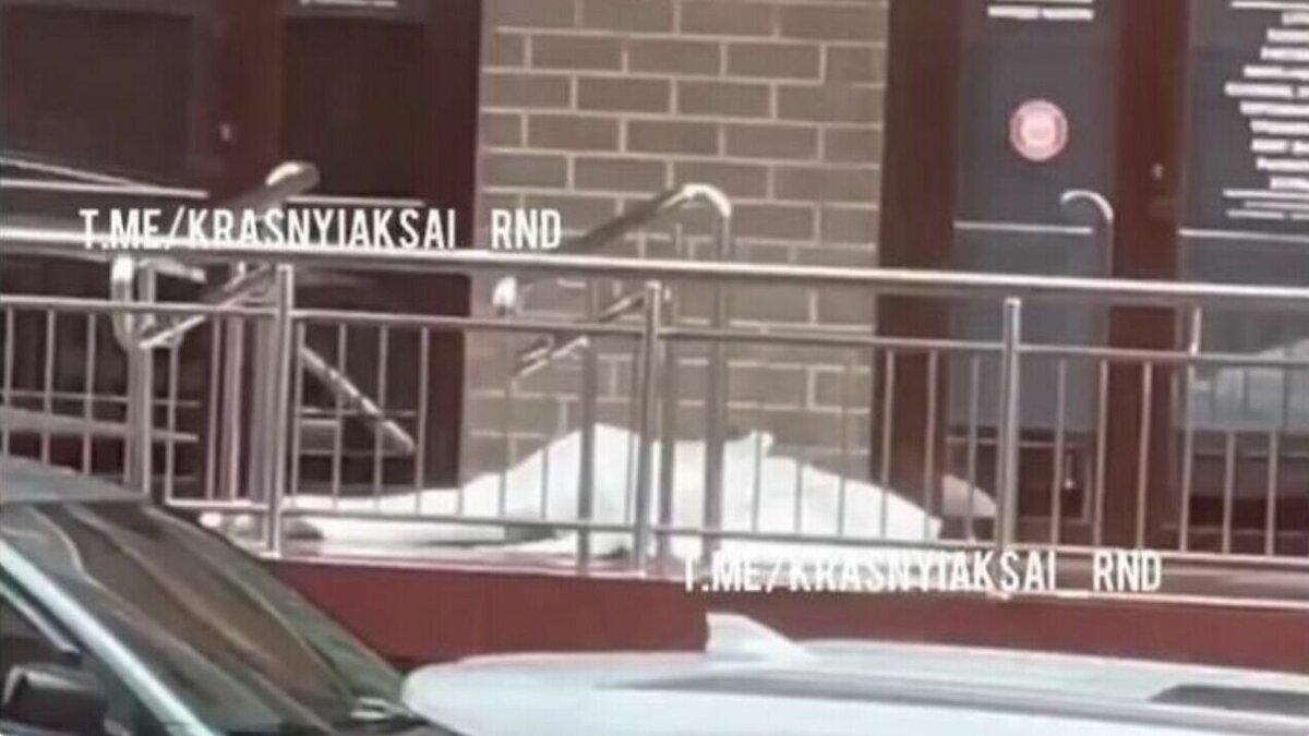 Девушка выпала из окна фото 20-летняя девушка погибла, упав из окна в многоэтажке в Ростове-на-Дону днем 9 а