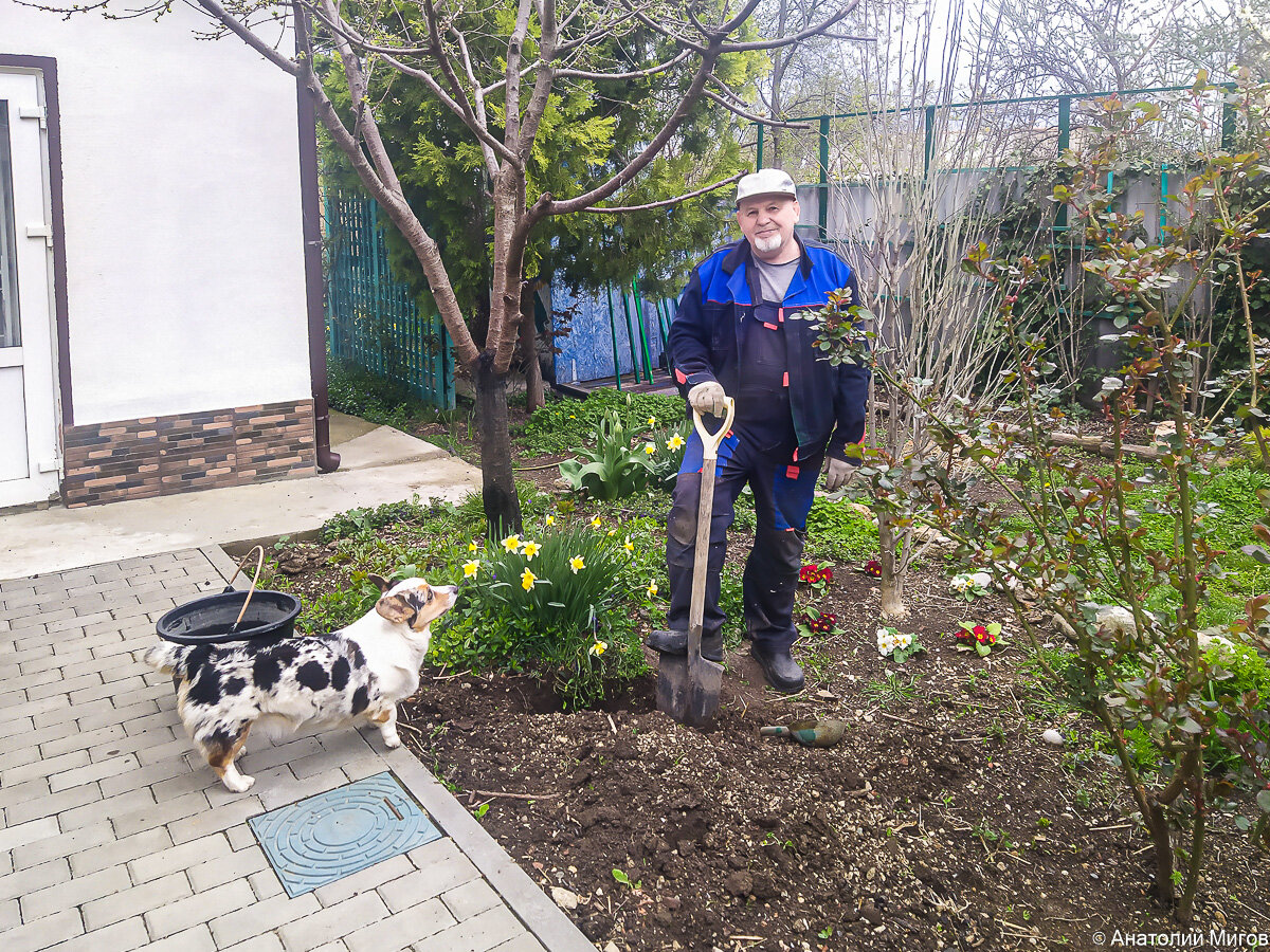 Снова сажаем деревья. Как начнёшь это дело, так попробуй потом ...