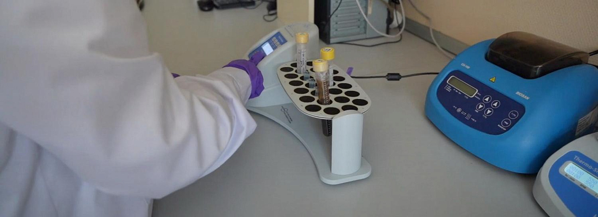 Фото: nsknews.info