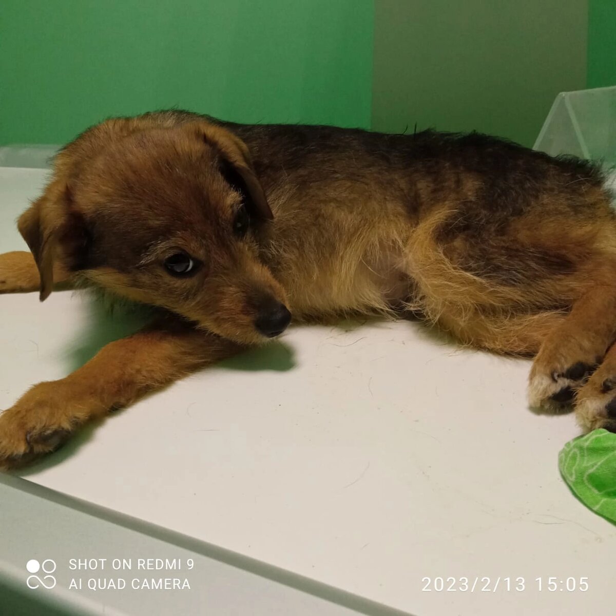 Малыш в клинике