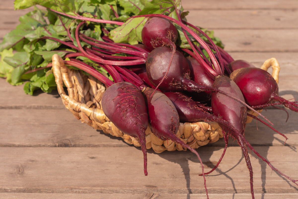 фото из архива