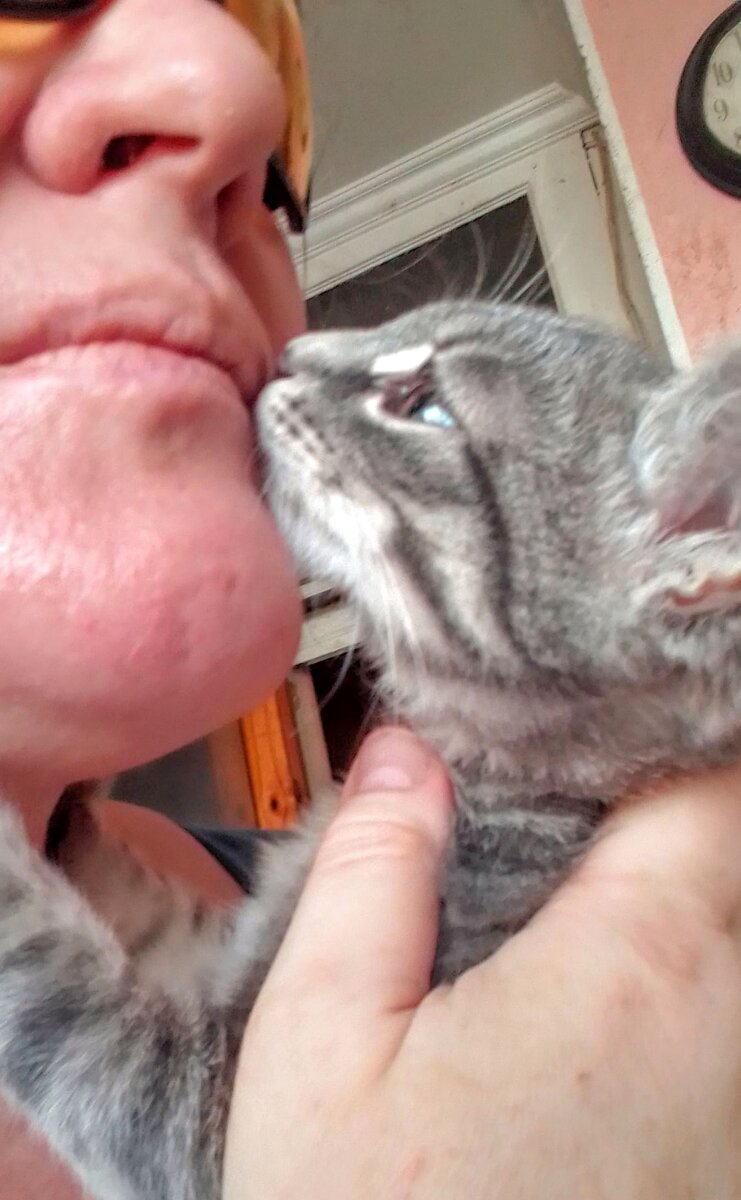 Прощальный поцелуй