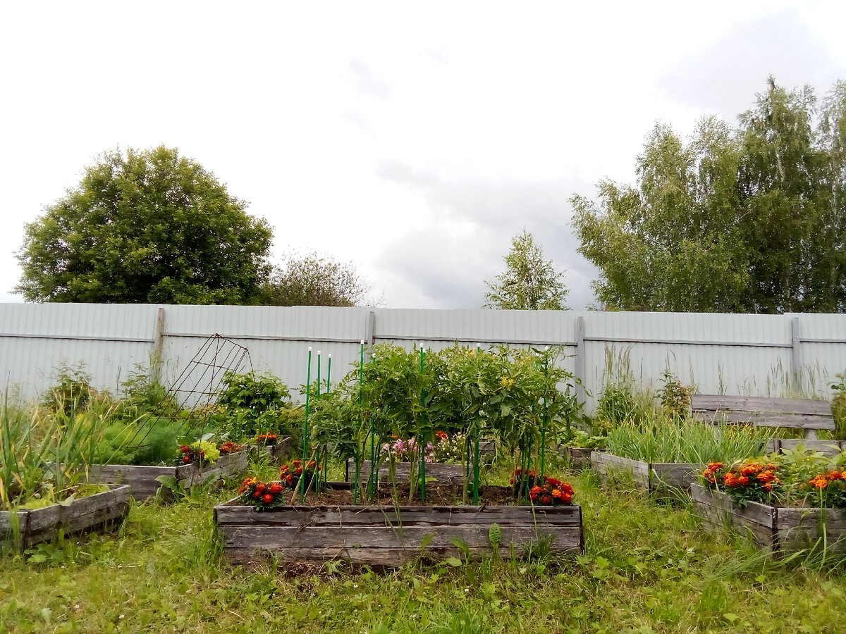 В статье все фото авторские