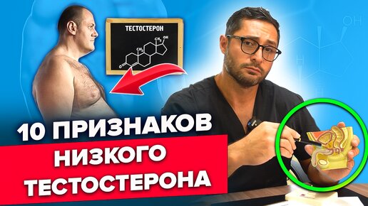 10 признаков низкого тестостерона. На что важно обратить внимание. Александр Дзидзария