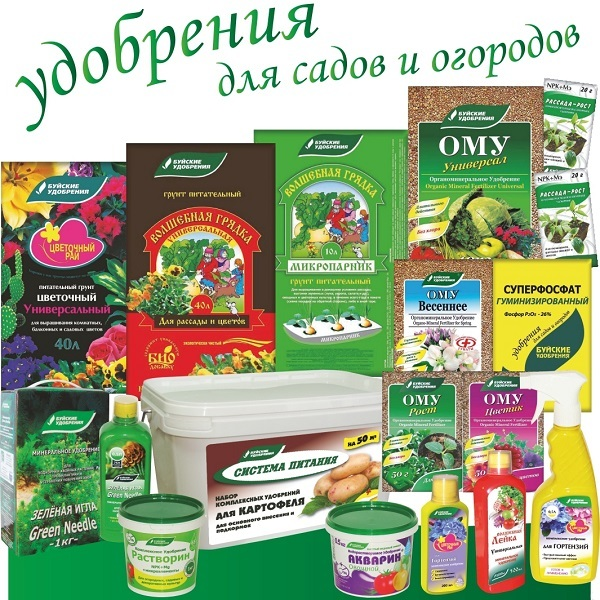 Фото взято из открытых источников