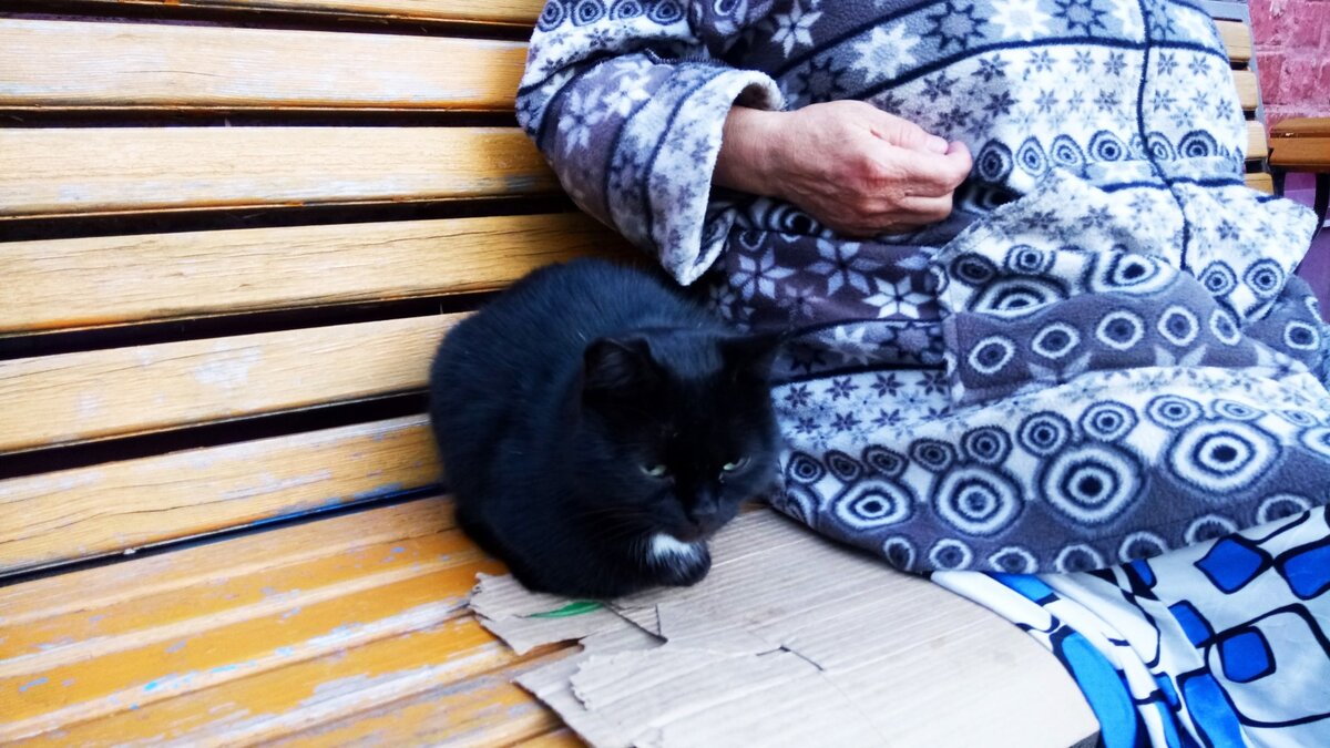     В Таганроге разыскивают пенсионерку, страдающую от провалов в памяти, рассказали волонтеры «ЛизаАлерт».