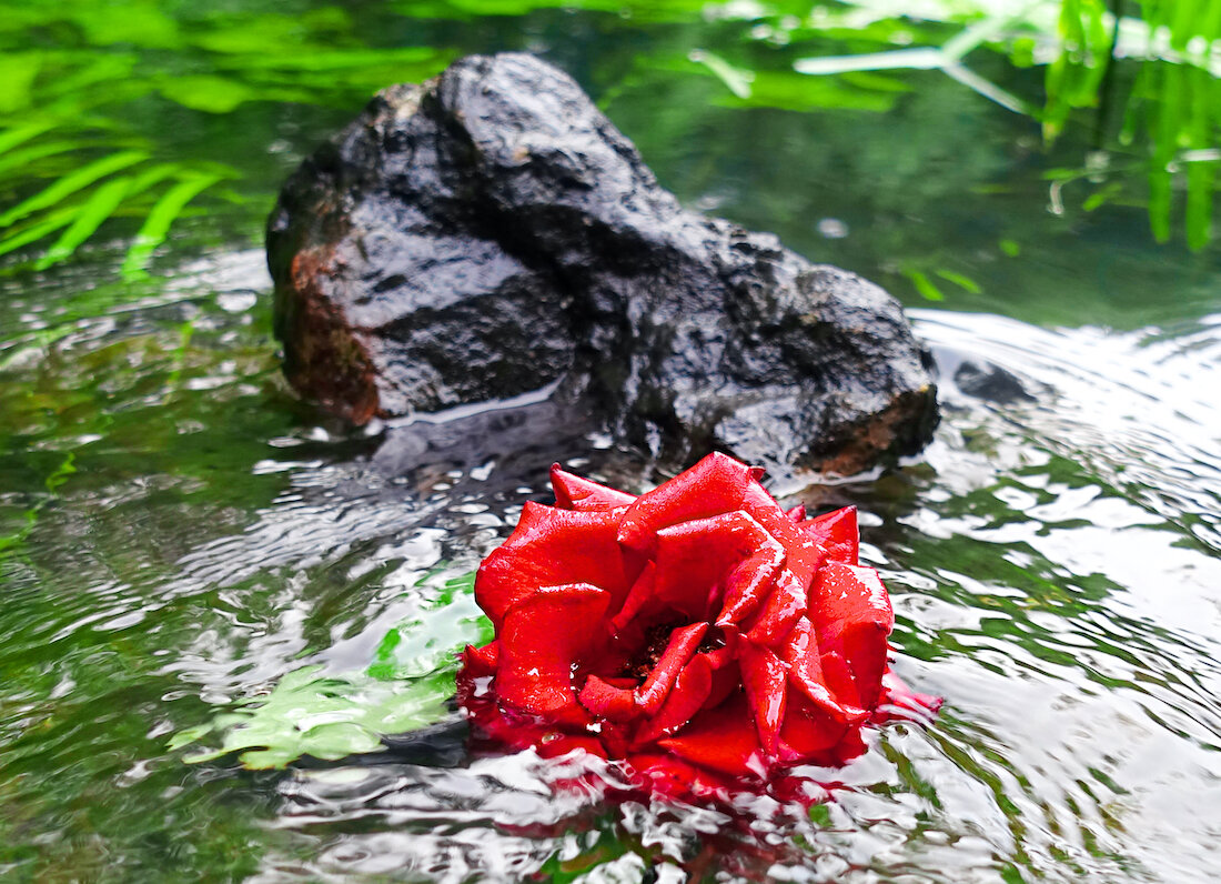 На Ивана Купала обряды на деньги. защиту, благополучие