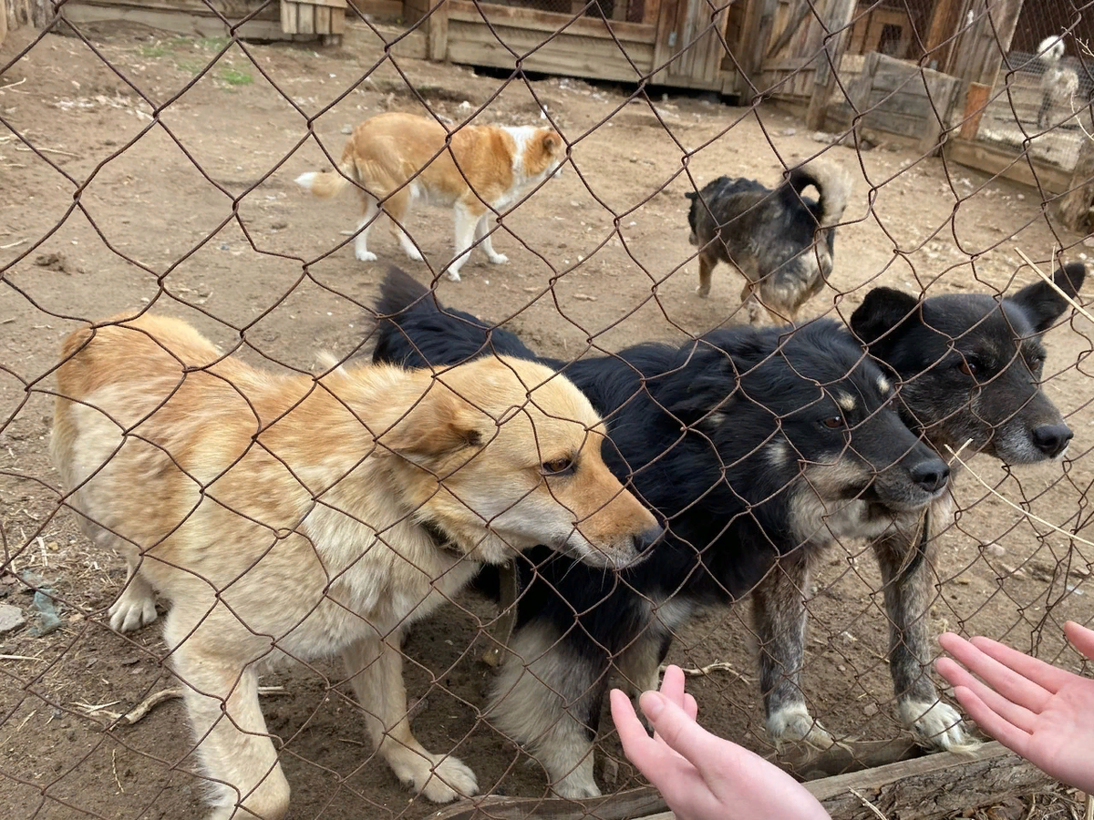 Мы вас любим!