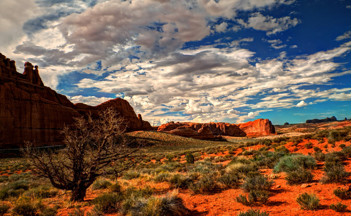 Природа штата Техас