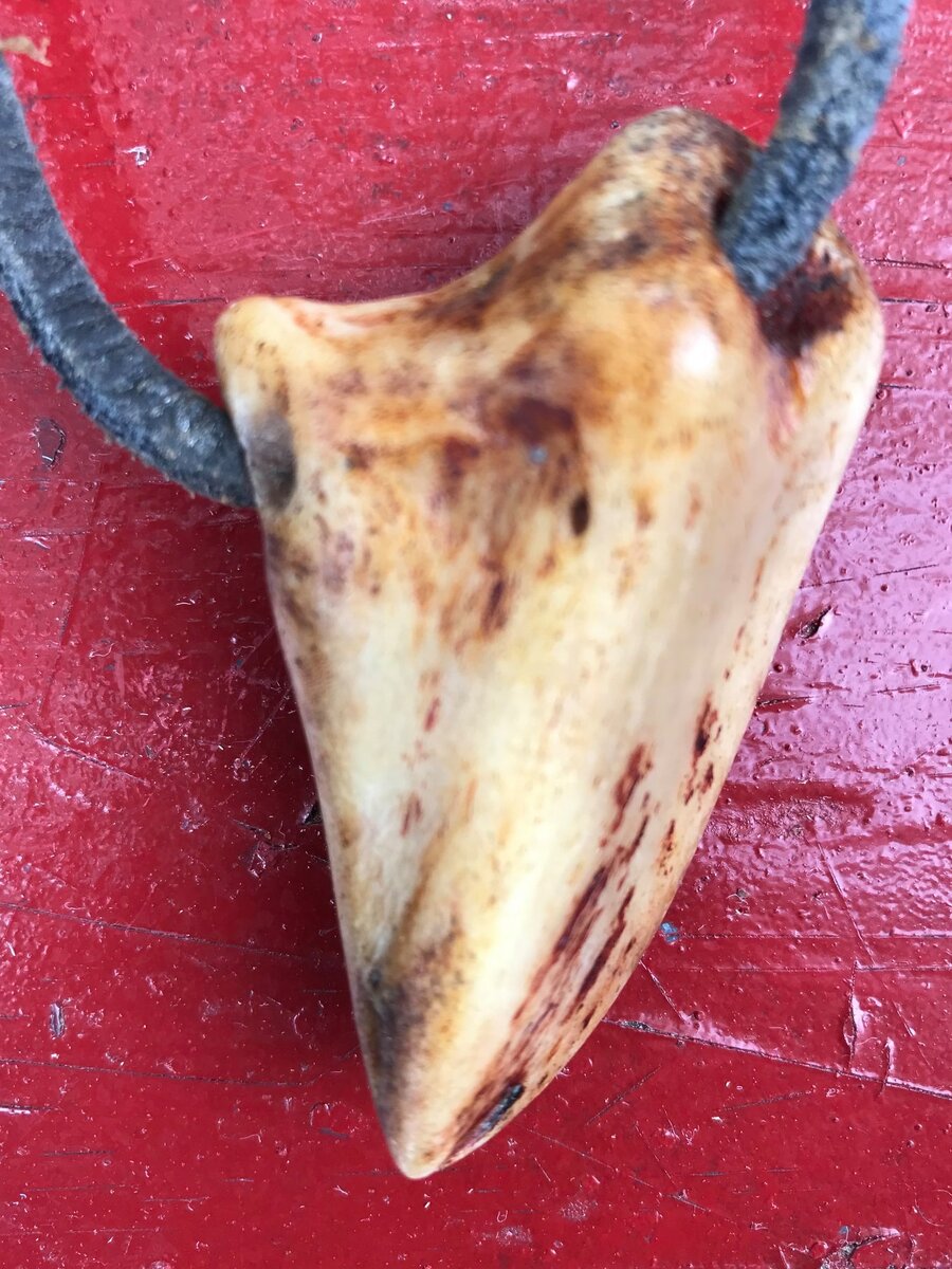 Вот зубы его первым делом на сувениры я и пустил... 