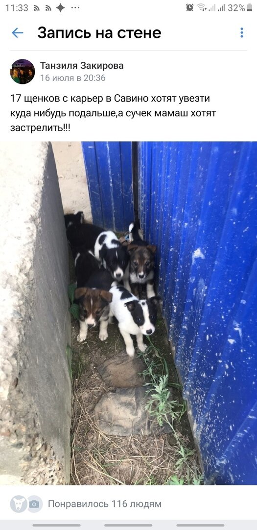 Скриншоты из ВК
