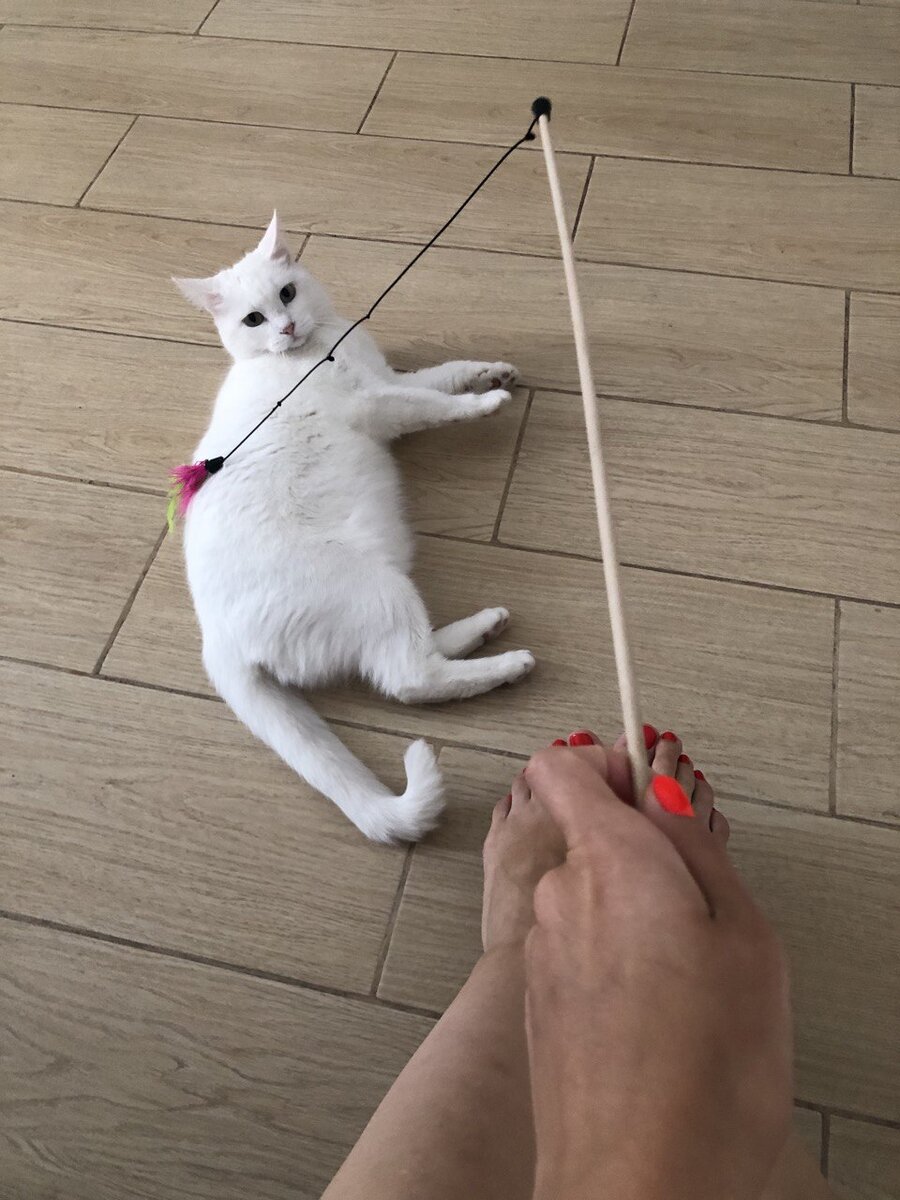 Это я сижу с Вайтой (малышку забрала домой чудесная девушка из нашего района). Ее котомама давно знает меня лично, поэтому не побоялась договориться обо всем со мной напрямую