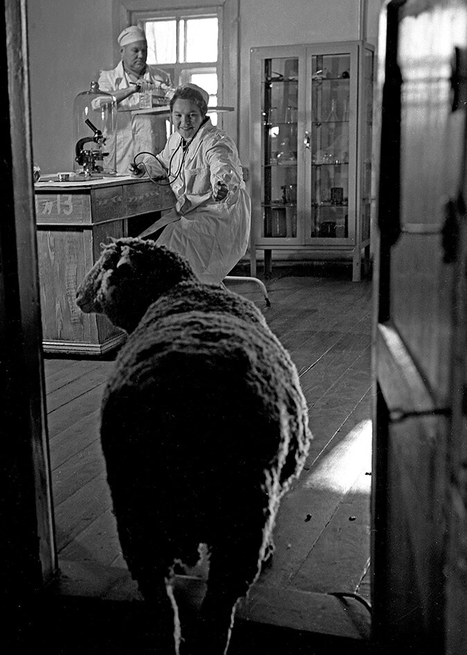 Доктор Айболит.Фото Эдгара Брюханенко 