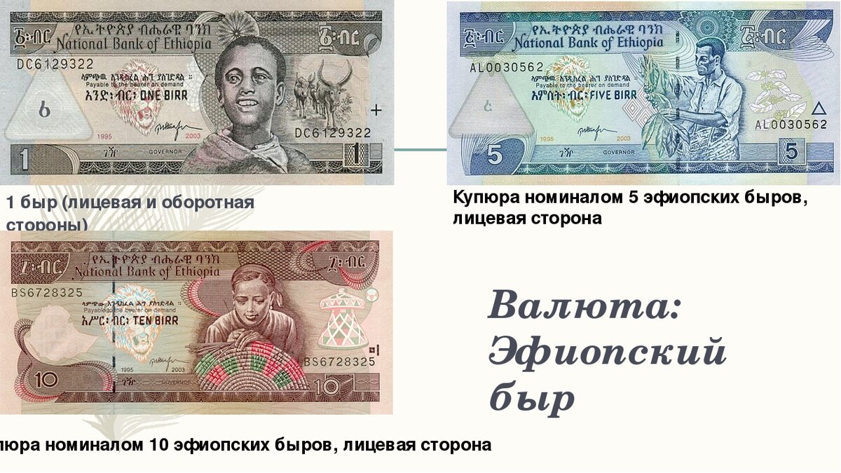 Быр к рублю. Бырр валюта. 1 Эфиопский быр купюра. Валюта Эфиопии. Эфиопский доллар.