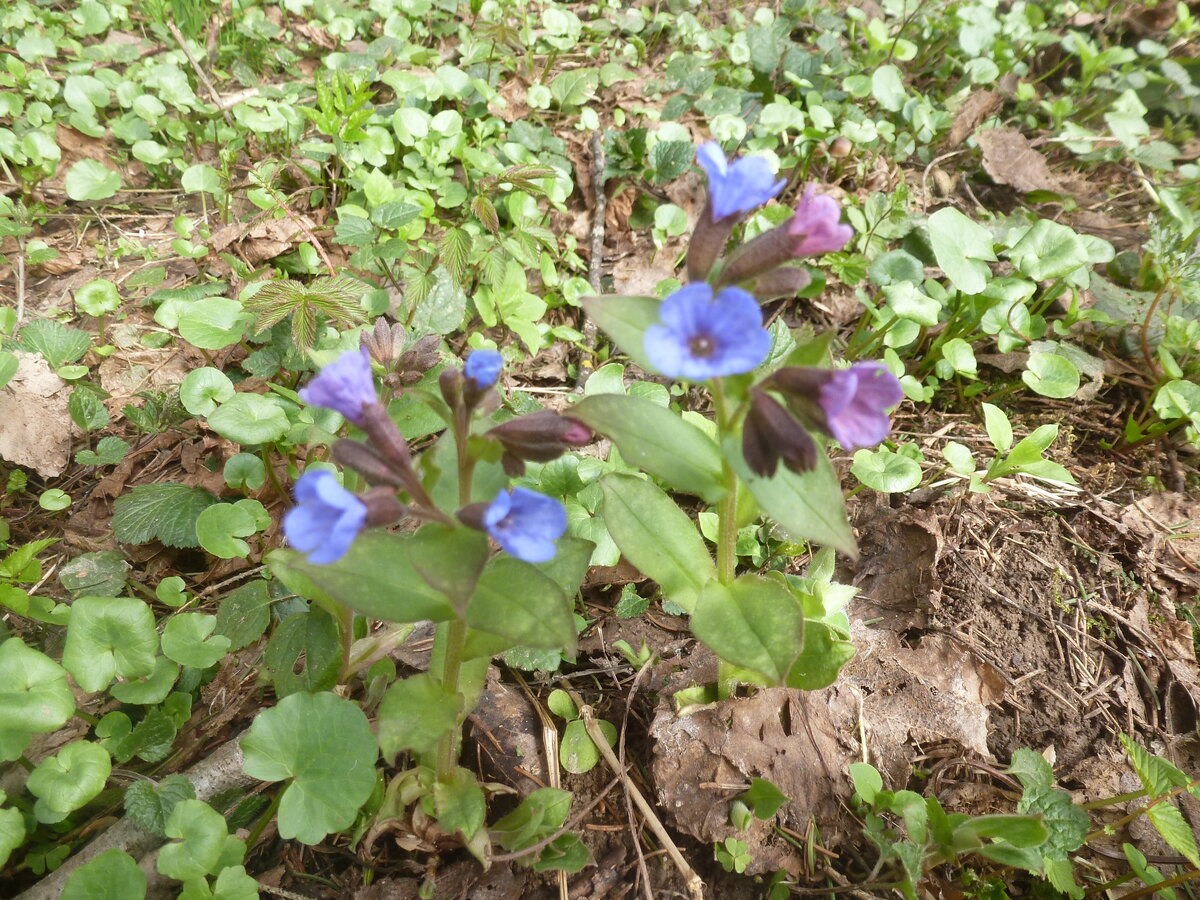 Фото наше, но не оттуда.