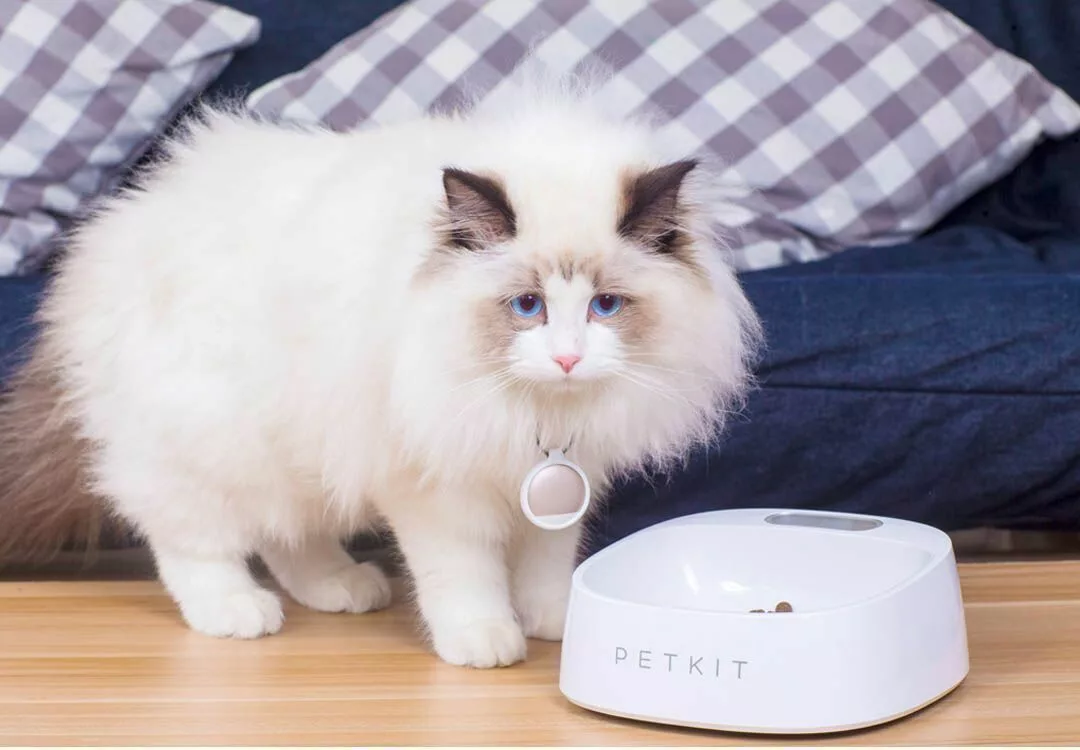 За счёт специального покрытия миска-весы Xiaomi снижает риск бактериального заражения животного. Фото: PETKIT