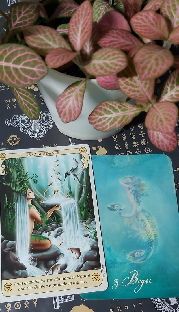 Колоды: "Таро Добра и Света" и "Conscious Spirit Oracle Deck" by Kim Dreyer