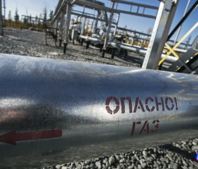 Добавьте описание