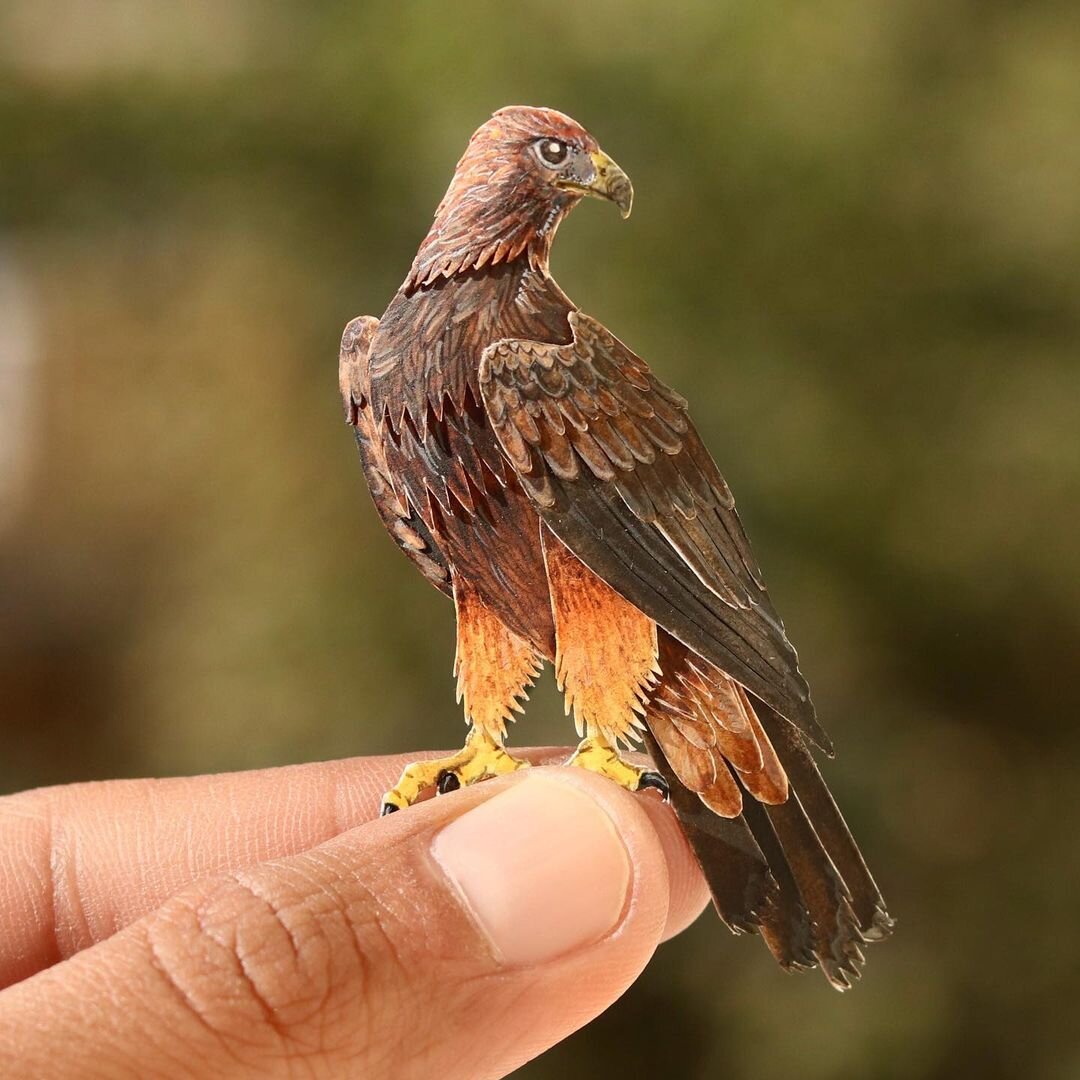 Фото: © instagram.com/nvillustration   